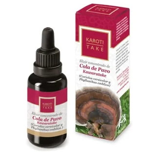 Hiranyagarba Karoti-Take Turkey Tail 30 ml