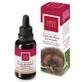 Hiranyagarba Karoti-Take Kalkoenstaart 30Ml