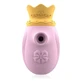 Intense Couples Toys Clitoral Stimulator 10 Modes of Suction and Licking - Pink