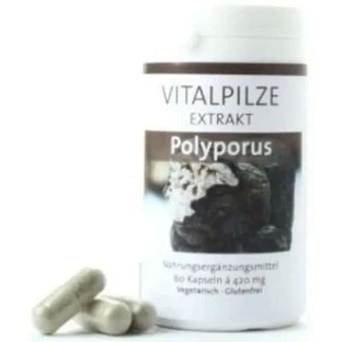 Pilze Wolhrab Polyporus 60 Capsule