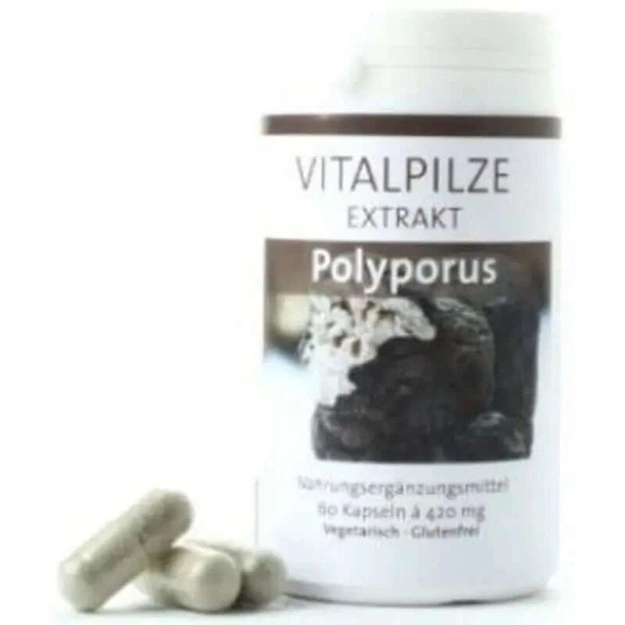 Pilze Wolhrab Polyporus 60 Capsules