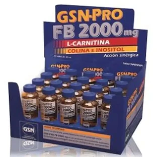 Gsn Gsn-Pro Fb-2000Mg 20 injectieflacons (Carnitine) 30 ml
