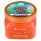 Tree Hut Sugar Scrub, Bikini Reef, 510 grams