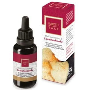 Hiranyagarba Karoti-Take Yamabushitake 30Ml