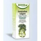 Biover Foeniculum Vulgare Fennel Extract 50Ml