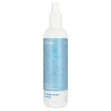 Satisfyer Lubricants Woman Disinfectant Spray 300 Ml