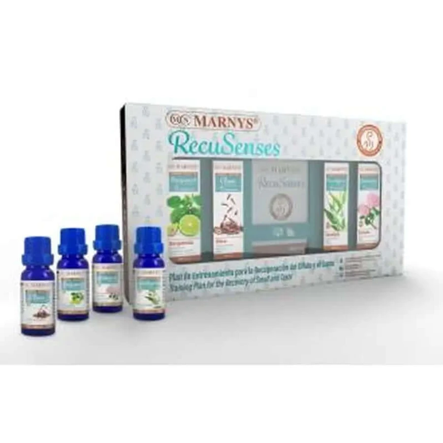 Marnys Recusenses Set 1 Dufttraining