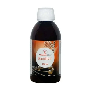 Hausmann B Bandivit Syrup , 250 ml