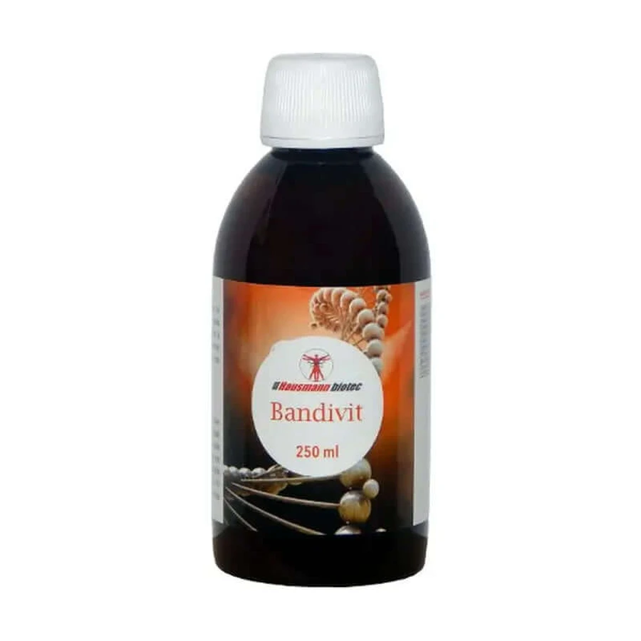 Hausmann B Bandivit Syrup , 250 ml