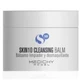 Medichy Model Skin10 Reinigungsbalsam Reinigungsbalsam 100Ml