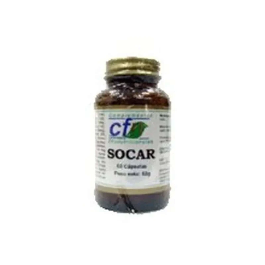 Cfn Socar , 60 gélules