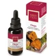 Hiranyagarba Karoti-Take Chaga 30Ml