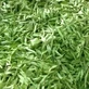 Stevia Ganzes Blatt Ganzes Blatt Stevia Eco , 500 gr