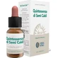 Forza Vitale Quinta Essence Hot Seeds 10Ml