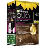 Garnier Olia Permanent Coloring Without Ammonia For A Pleasant Smell With Natural Floral Oils - Cappuccino 5.3