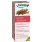 Biover Wintergreen Gaultheria Essential Oil Bio 10Ml