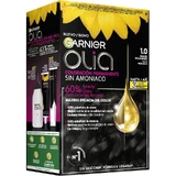 Garnier Olia Permanent Coloring Without Ammonia For A Pleasant Smell With Natural Floral Oils - Ebony Black 1.0