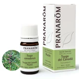 Huile essentielle de Pranarom Tsuga du Canada, 5ml