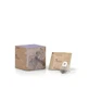 Naturcid Infuzie de ceai verde 10Piramide. Eco**