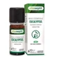 Ineldea Olioseptil Eucalyptus etherische olie 10Ml. Bio