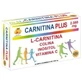 Robis Carnitine Plus 20Amp