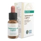 Forza Vitale Quinta Essenza Cajeput 10Ml
