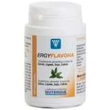Nutergia Ergyflavon 60 Capsules