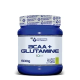 Scientiffic Nutrition Bcaa+Glutamine Melon, 500 g