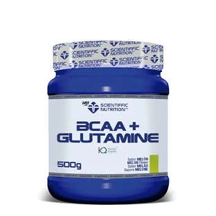 Scientiffic Nutrition Bcaa+Glutamina Melon, 500 g