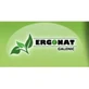Ergonat Glutamed 250Gr