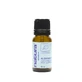 Natura Premium Essential Oil Basil, 10 ml