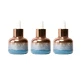 Nieves By Nieves Alvarez The Cure. Skin Biotech Protocol, 3 X 30 Ml
