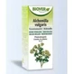 Biover Alchemilla Vulgaris Alchemilla Extract 50Ml