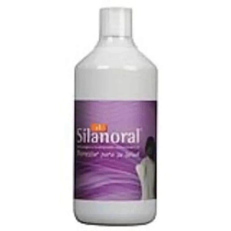 Mca Natürliche Produkte Silanoral + 1 Plus Flüssigkeit 1Liter