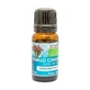 Natura Premium Etherische Olie Tijm Cineol Bio , 10 ml