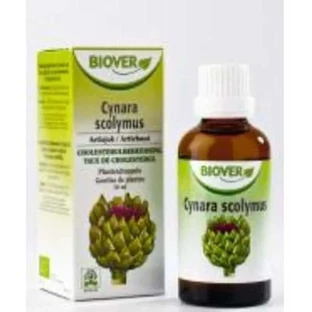 Biover Cynara Scolymus Extrait d'Artichaut 50Ml