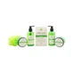 Becasan Vegan Wooden Olive Box