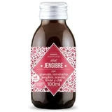 Kildespring Human Shots Ingwer 100Ml. Bio