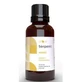 Terpenic Neroli Essential Oil 30ml