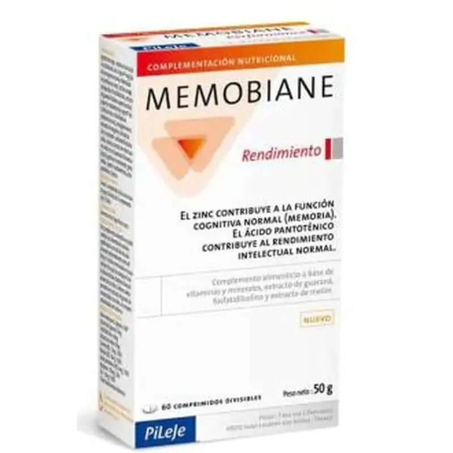 Herinneringspaal Prestaties 60Comp