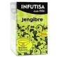 Infutisa Ingwer, 25 Filter
