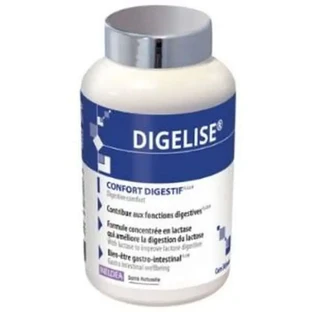Ineldea Digelise 90 Capsule