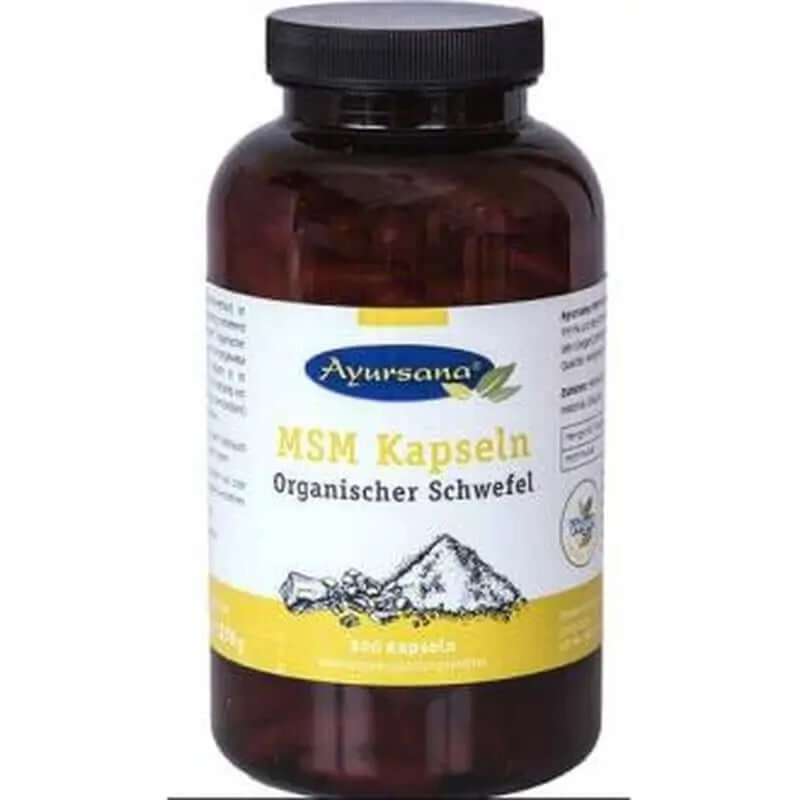 Ayursana Msm 800Mg. 300Kappe