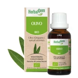 Herbalgem Olivenbaum 50 ml