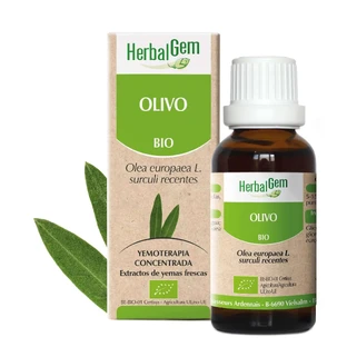 Herbalgem Olivenbaum 50 ml
