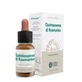 Forza Vitale Quinta Essence Rosemary (Rosmarino) 10Ml