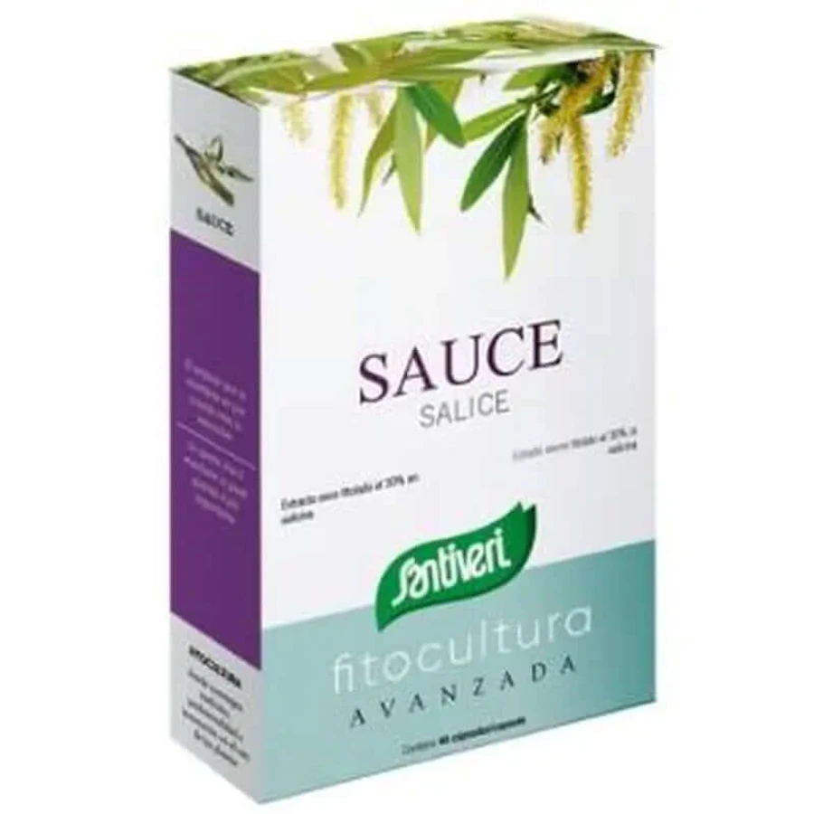 Santiveri Willow 40Cap