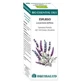 Equisalud Bio Essential Oils Lavender Essential Oil 10Ml
