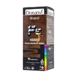 Drasanvi Mineraal Bisglycinaat IJzer Ferrochel , 90 tabletten
