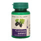 Cortizon Natural, 60 tablets, Dacia Plant